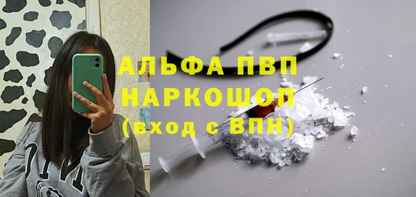 СК Гусев