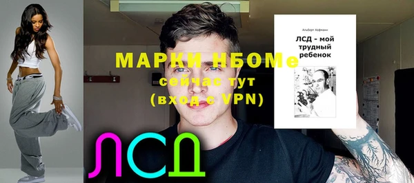 гашик Горнозаводск