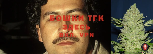 гидропоника Гусиноозёрск