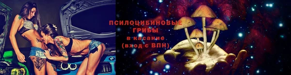 гидропоника Гусиноозёрск