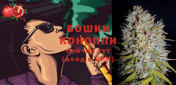 трава Горно-Алтайск