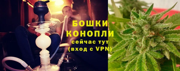 гидропоника Гусиноозёрск