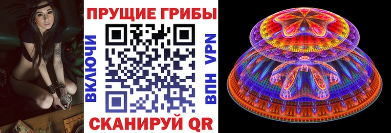 Псилоцибиновые грибы мицелий  где найти наркотики  МЕГА онион  Черногорск 